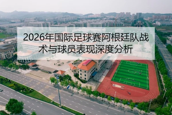 2026年国际足球赛阿根廷队战术与球员表现深度分析