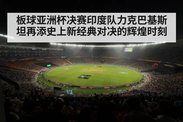 cricket stadium crowd