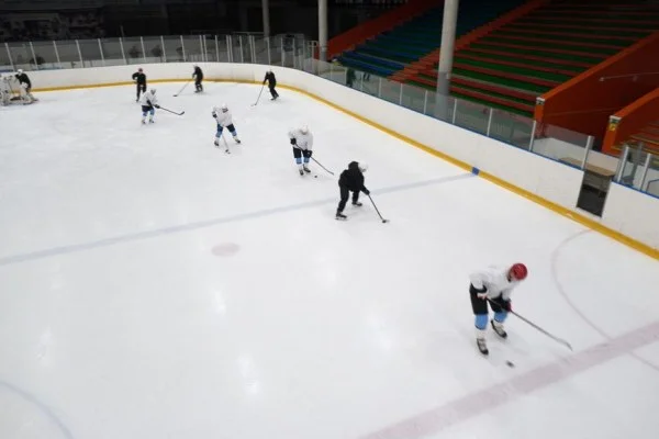 NHL波士顿棕熊训练营开启 帕斯特尔尼亚克续约谈判暗藏关键变数